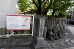 Dcim19421/DSC_2734