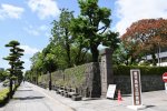 Dcim19421/DSC_2768