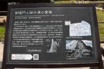 Dcim19422/DSC_2818