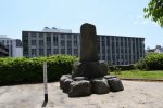 Dcim19422/DSC_2821