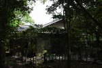 Dcim19423/DSC_2969