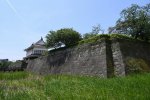 Dcim19423/DSC_2993