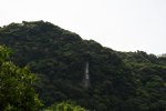 Dcim19425/DSC_3184