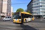 Dcim19426/DSC_3302