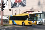 Dcim19426/DSC_3303