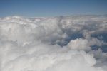 DSC_3463