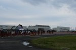 DSC_6864