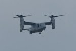DSC_7287