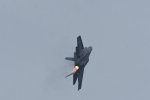 DSC_7531