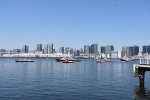 DSC_9547