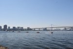 DSC_9559