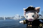DSC_9633