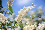 DSC_0697